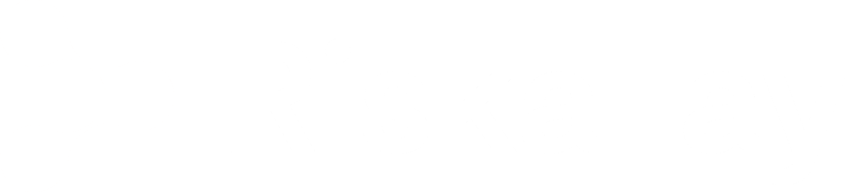 riskallay-logo-white
